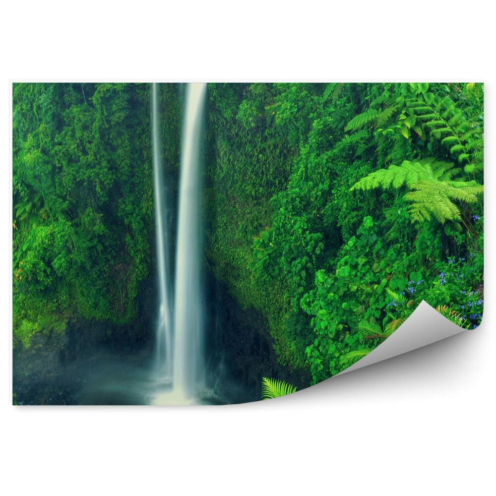 Fototapeta na stenu Les príroda vodopád listy