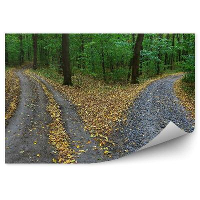 Fototapeta Lesné Cesty Príroda Cesta Stromy