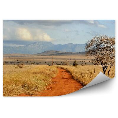 Fototapeta Cesta Piesok Suchá Tráva Vegetácia Kopce