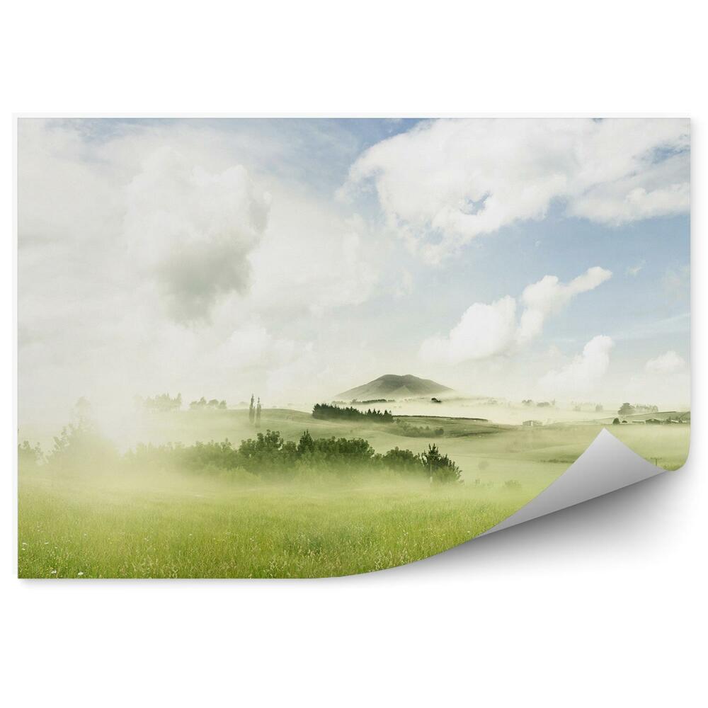 Fototapeta na stenu Zelené lúčne rastliny hmla obloha