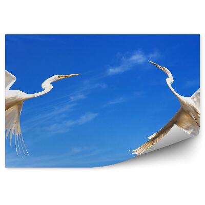 Fototapeta na stenu Dva letiace žeriavy na pozadí oblohy