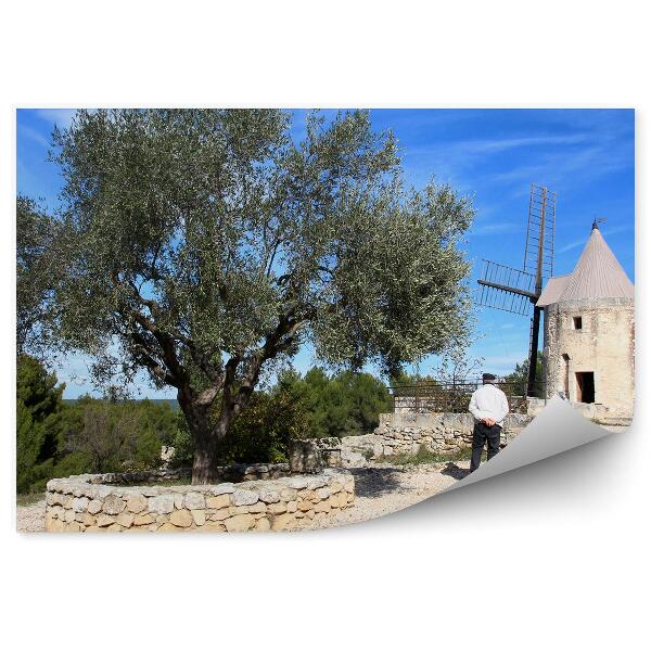 Fototapeta na stenu Veterný mlyn Provence ľudia skaly stromy nebo Francúzsko