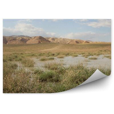 Fototapeta Púšť Tráva Jazero Hory Obloha Mraky