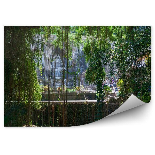 Fototapeta na stenu Chrám džungľa liany stromy