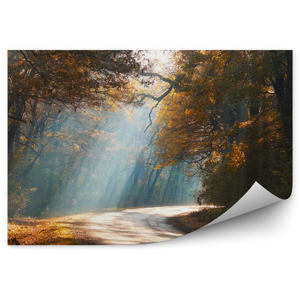 Fototapeta na stenu Jesenná lesná cesta listy