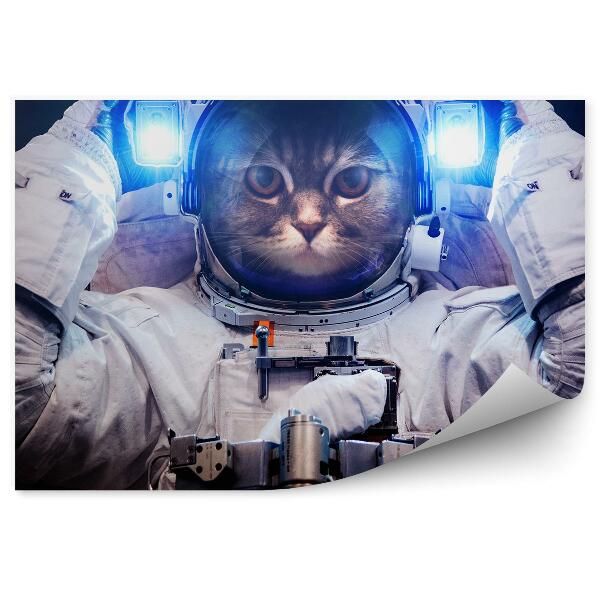 Fototapeta Krásna Mačka Astronaut Vesmírne Svetlo Planéta Zem