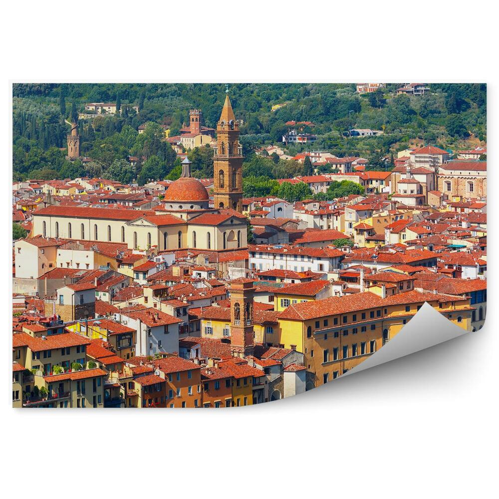 Fototapeta na stenu Oltrarno Spirito Florencia stromy Florencia Taliansko