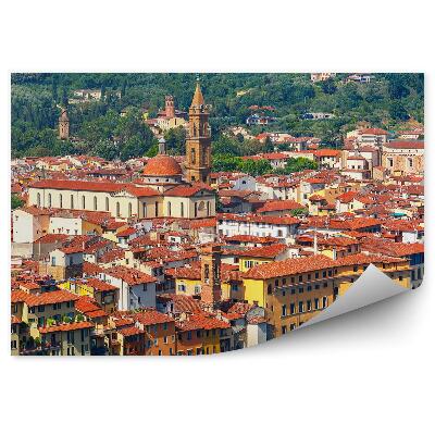 Fototapeta na stenu Oltrarno Spirito Florencia stromy Florencia Taliansko