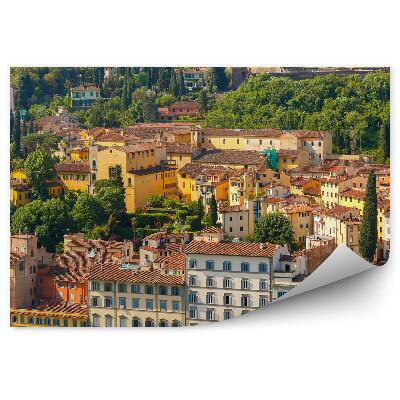 Fototapeta Oltrarno pevnosť Belvedere Florencia stromy rastliny