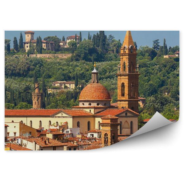 Fototapeta na stenu Oltrarno Spirito Florencia stromy Florencia Taliansko