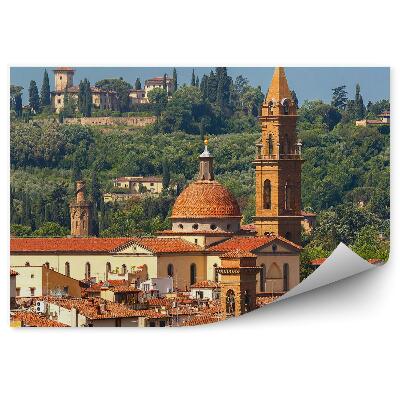 Fototapeta na stenu Oltrarno Spirito Florencia stromy Florencia Taliansko