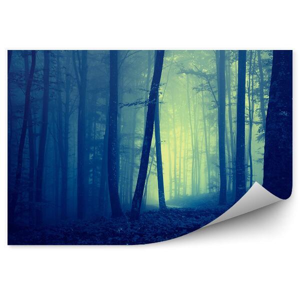 Fototapeta na stenu Tmavomodrá lesná hmla