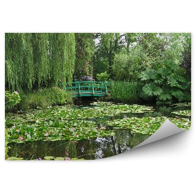 Fototapeta Zeleň vegetácia park most cez vodu lekná