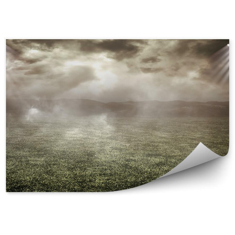 Fototapeta na stenu Travnik v megli