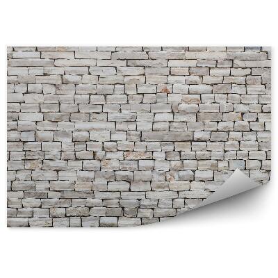 Fototapeta Kamenná bridlicová stena