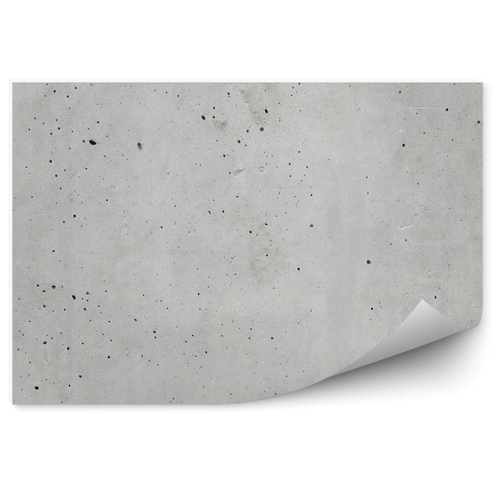 Fototapeta na stenu Sivý hladený betón