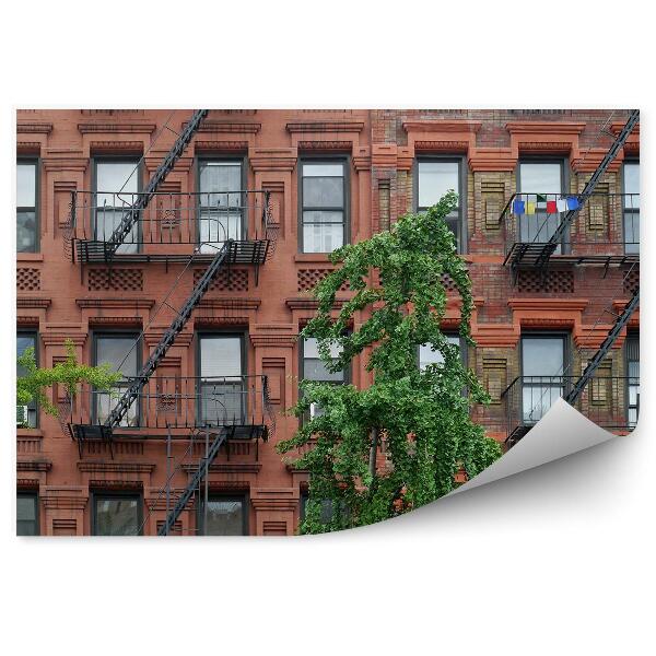 Fototapeta Budova plochý strom schodisko New York