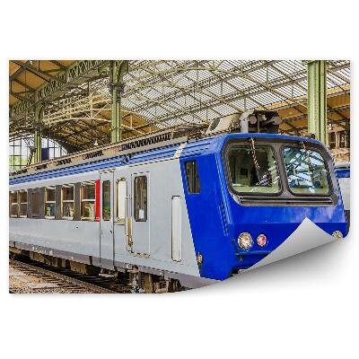 Fototapeta Francoska postaja regionalnega ekspresnega vlaka