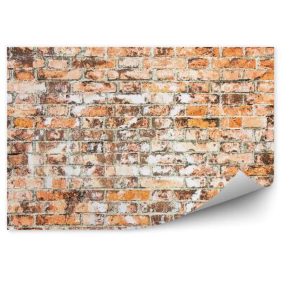 Fototapeta Starý múr v Toskánsku