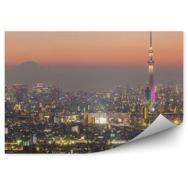 Fototapeta na stenu Pohľad z vtáčej perspektívy noc Tokio Japonsko svetlá