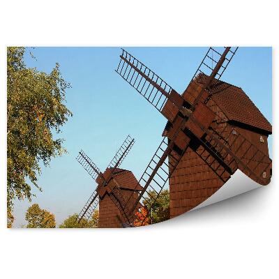 Fototapeta na stenu Stare lesene mline na veter naravni park