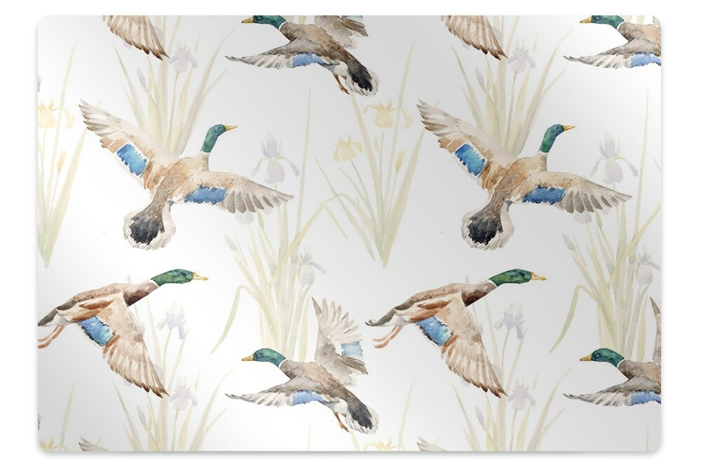 Podložka pod stoličku na podlahu Kačice