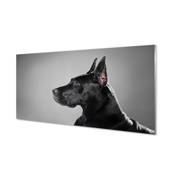 Skleneny obraz Čierny pes doberman