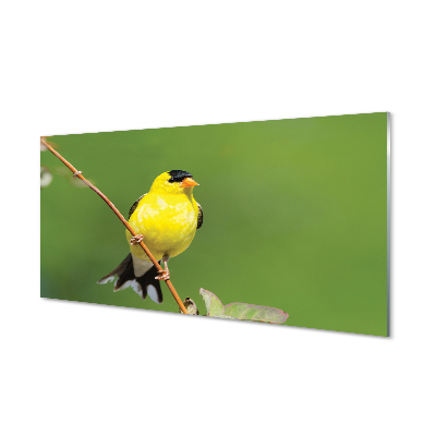 Skleneny obraz Žltý papagáj na konári