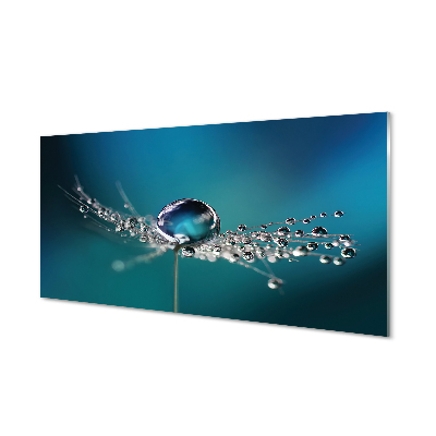 Skleneny obraz Kvapky rosy modré pozadie