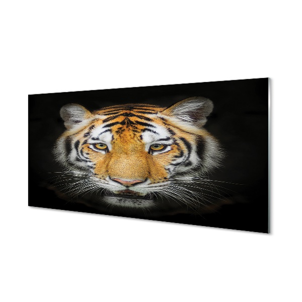 Skleneny obraz Tiger na čiernom pozadí
