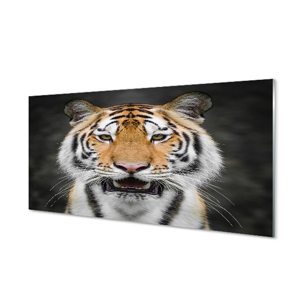 Obraz na skle Tiger oranžové oči