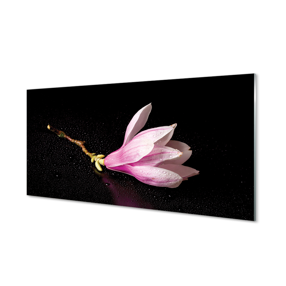 Obraz na skle Kvet magnólie na čiernom pozadí