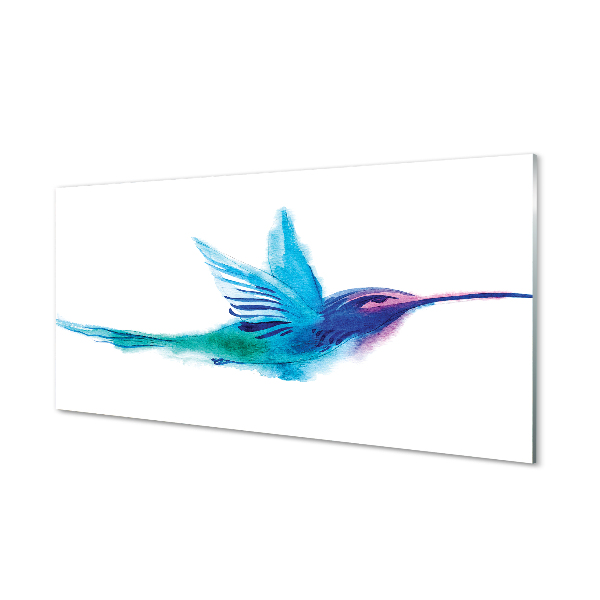 Sklenený obraz Maľovaný kolibrík