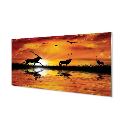 Obraz na skle Vtáky jazero západ savany