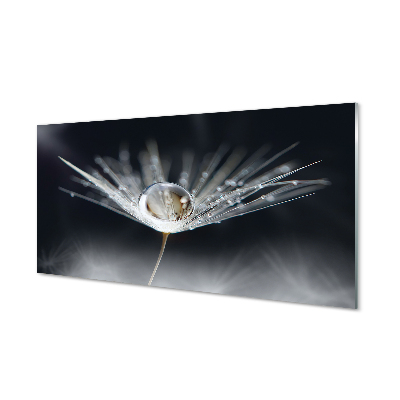 Skleneny obraz Kvapka fúkačka makro čierne pozadie