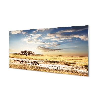 Skleneny obraz Zebra oblak stromová krajina