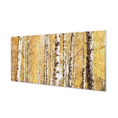 Sklenený obraz Jesenné brezy