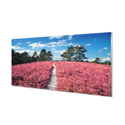 Sklenený obraz Cesta cez pole vresu