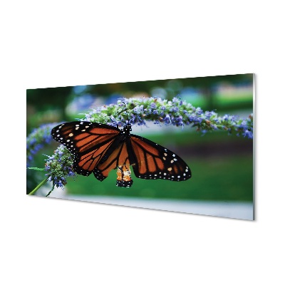 Sklenený obraz Oranžový a čierny motýľ