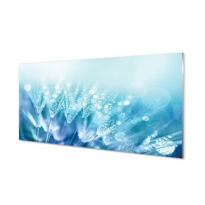 Skleneny obraz Kvapky púpavy modré pozadie