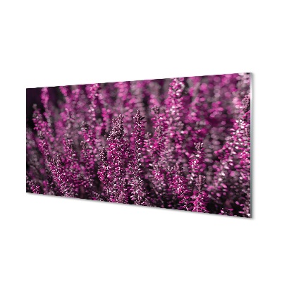 Skleneny obraz Ružové kvety vresu