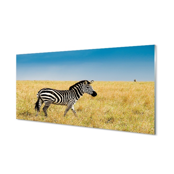 Sklenený obraz Zebra na poli modrá obloha