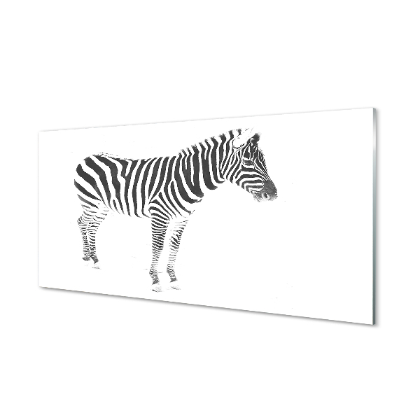 Skleneny obraz Maľovaná zebra na bielom pozadí