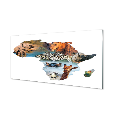 Obraz na skle Divoké zvieratá Afriky