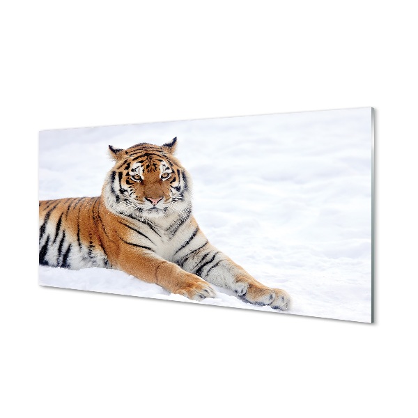 Obraz na skle Tiger v zime na snehu