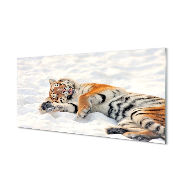 Sklenený obraz Ležiaci tiger na snehu