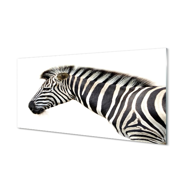 Skleneny obraz Zebra na bielom pozadí