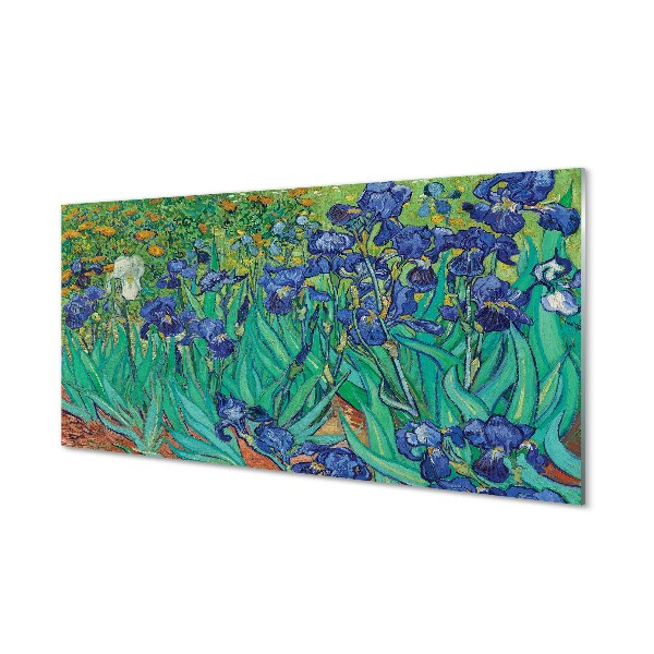 Skleneny obraz Vincent van Gogh - kosatce