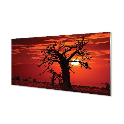 Obraz na skle Stromy mraky červená obloha