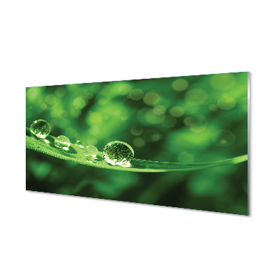 Sklenený obraz Kruhové kvapky na zelenom liste